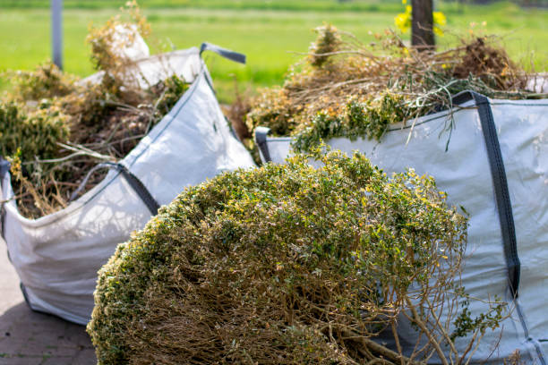 Best Junk Hauling Services  in Darlington, SC